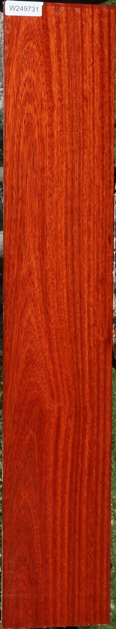Bloodwood Lumber
