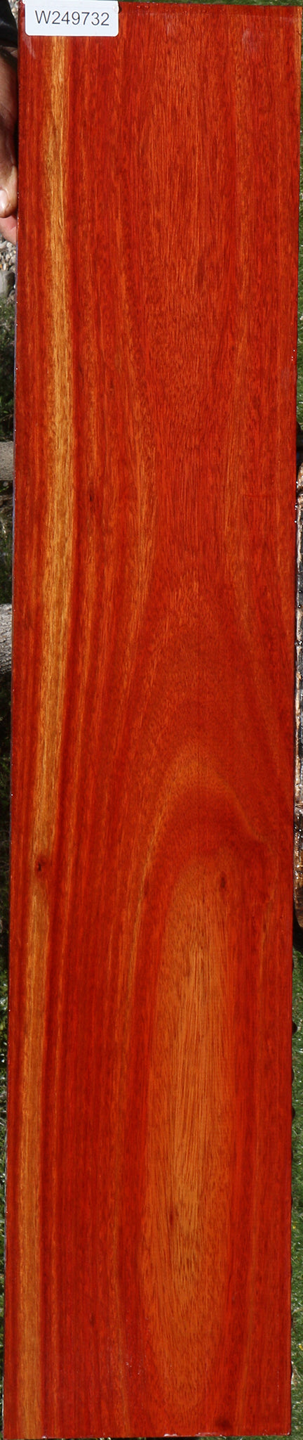 Bloodwood Lumber
