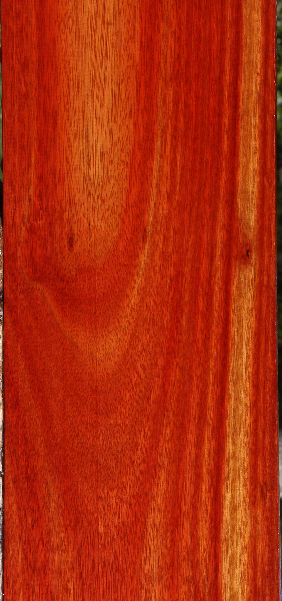 Bloodwood Lumber
