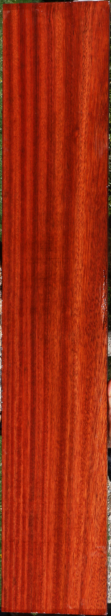 Figured Bloodwood Lumber