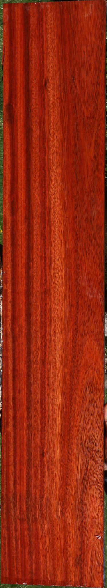Bloodwood Lumber