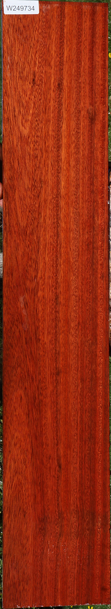 Bloodwood Lumber