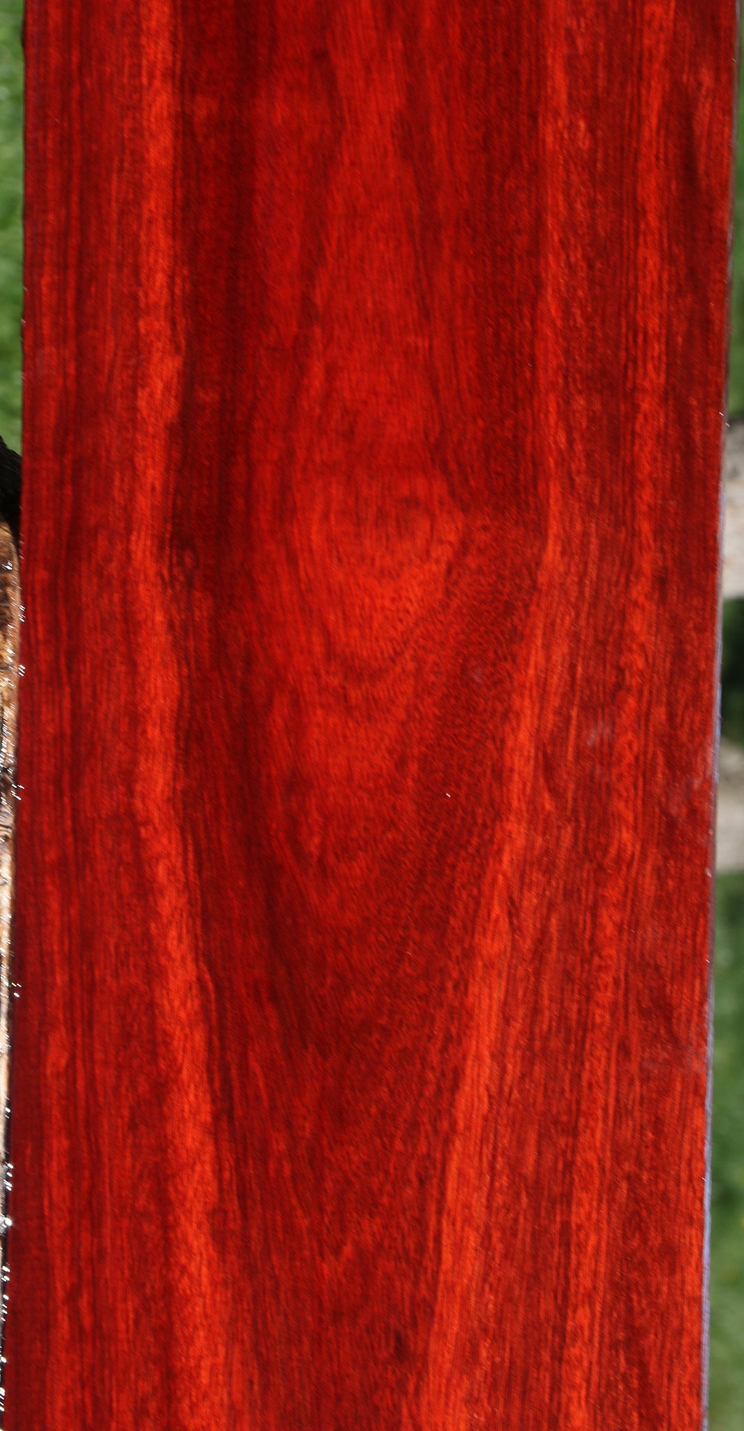 Figured Bloodwood Lumber