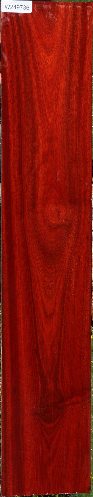 Bloodwood Lumber