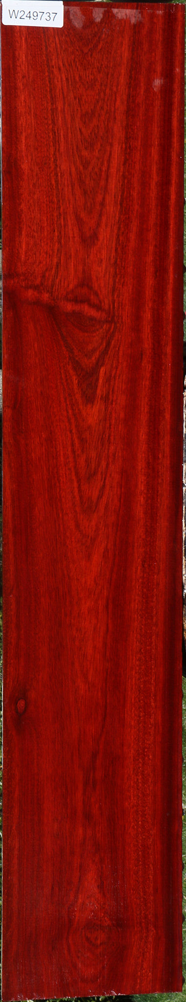 Bloodwood Lumber