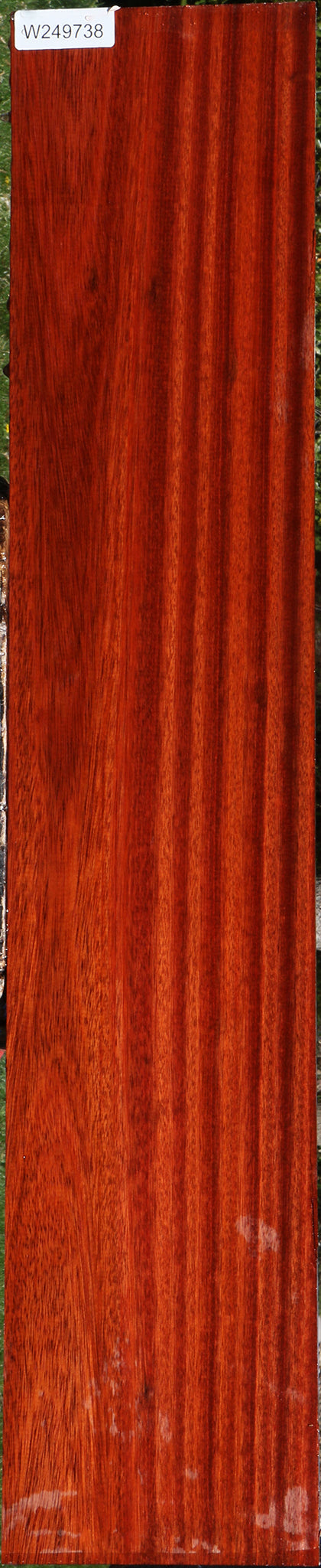 Bloodwood Lumber
