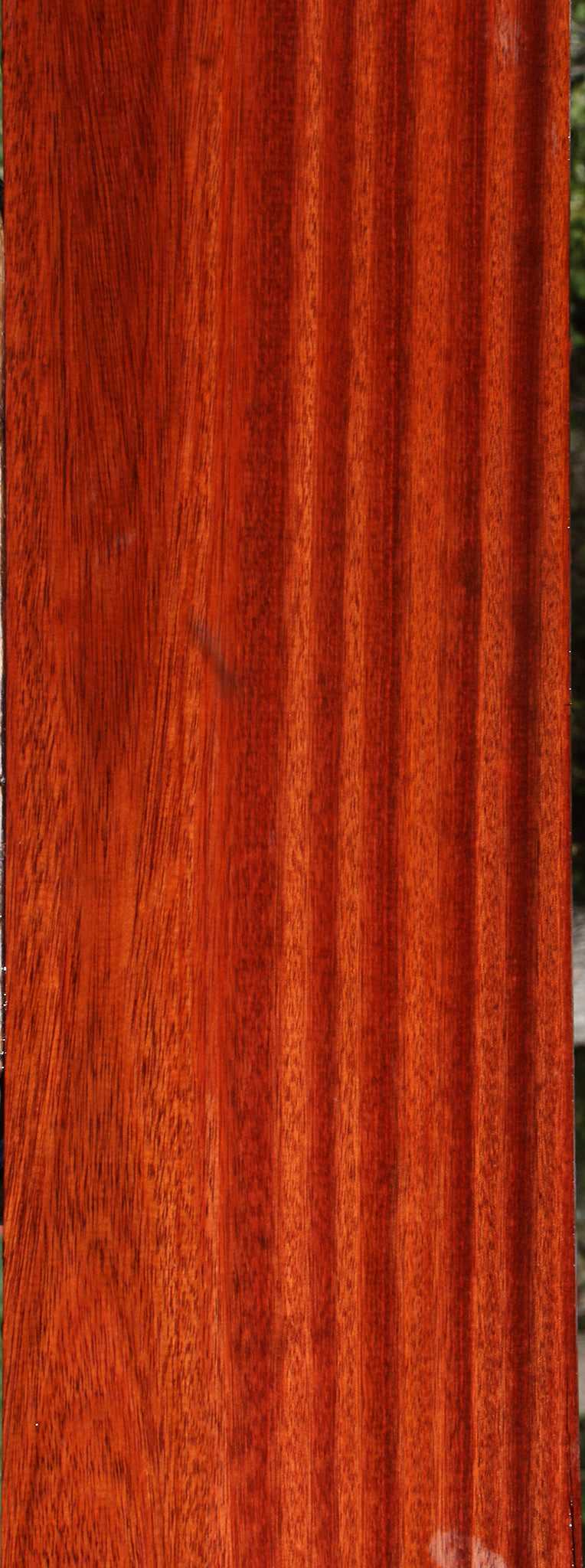 Bloodwood Lumber