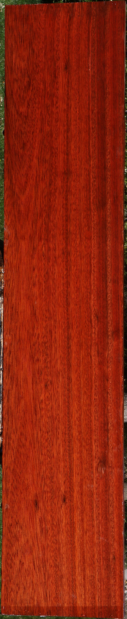 Bloodwood Lumber