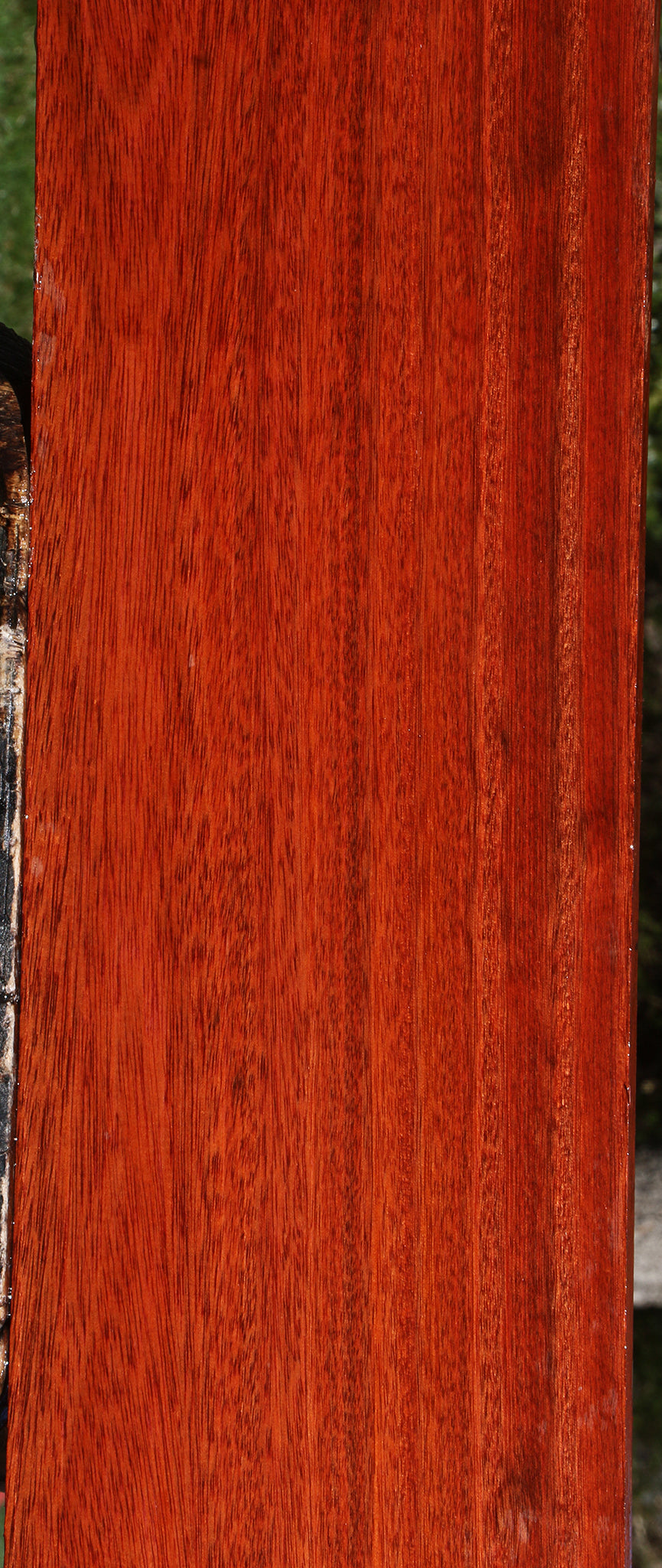 Bloodwood Lumber