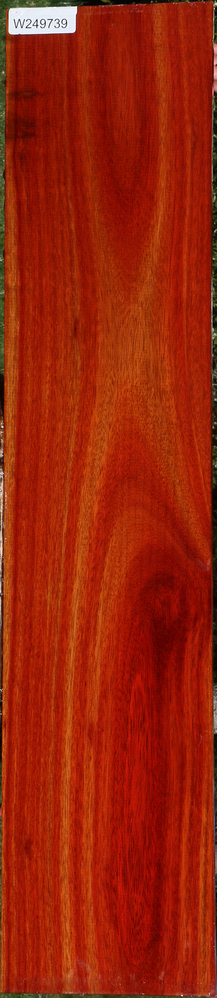 Bloodwood Lumber