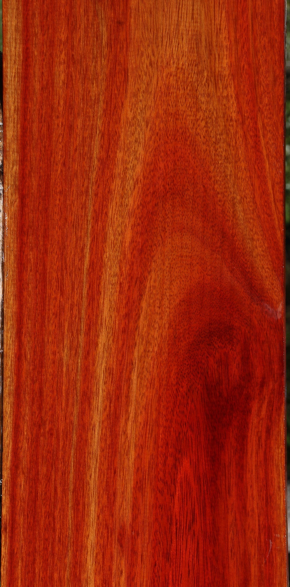 Bloodwood Lumber