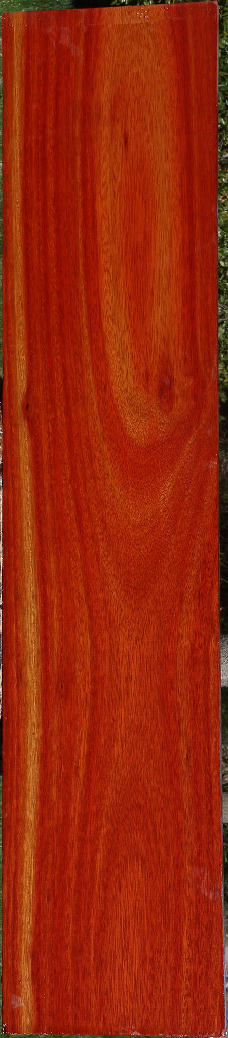 Bloodwood Lumber