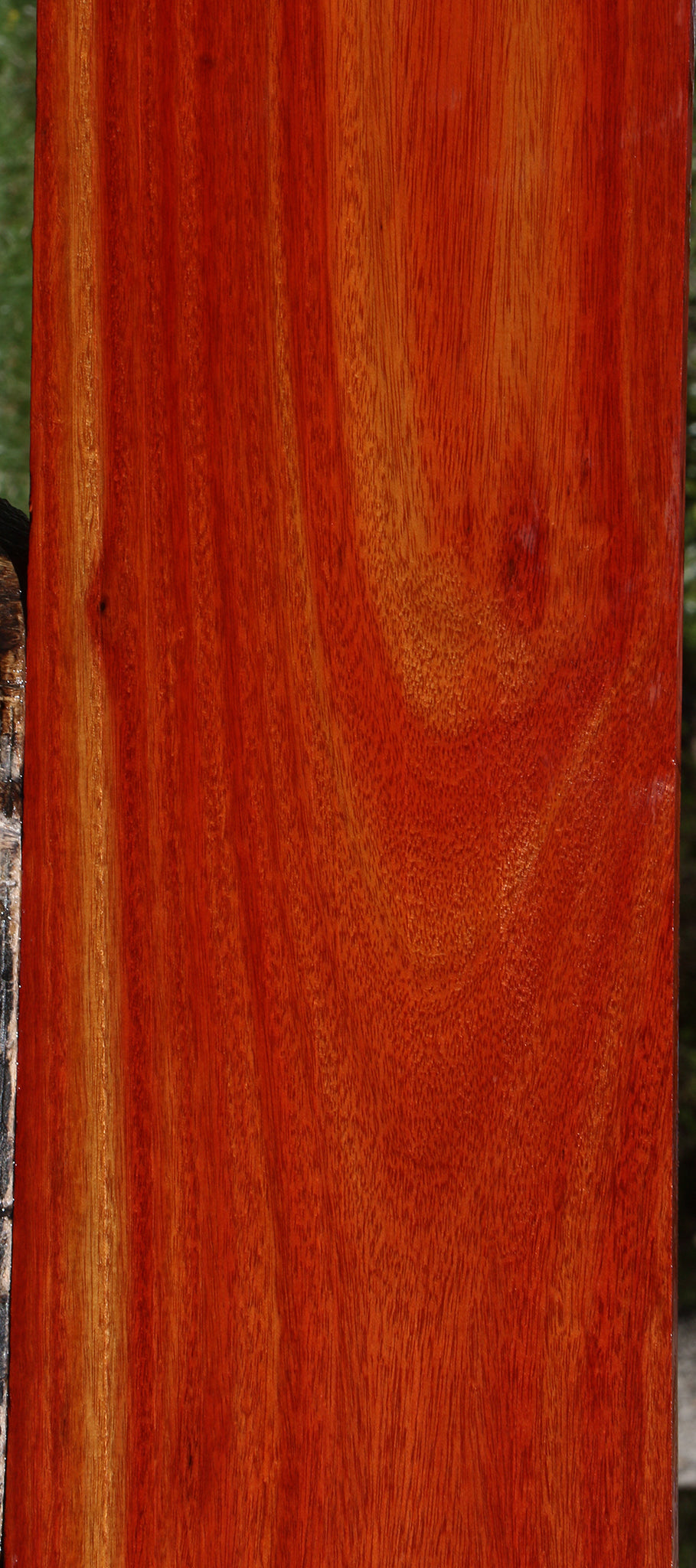 Bloodwood Lumber