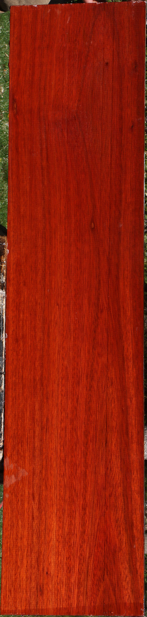 Bloodwood Lumber