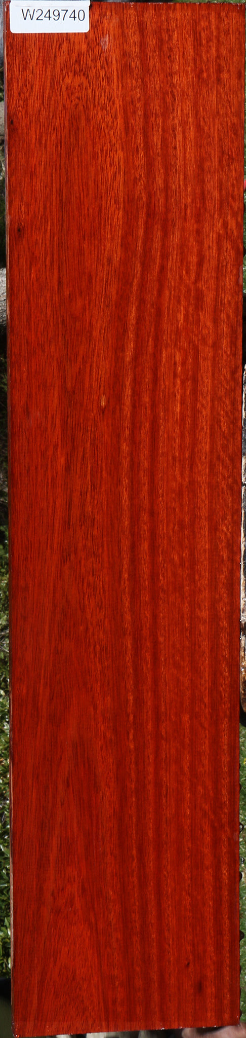 Bloodwood Lumber
