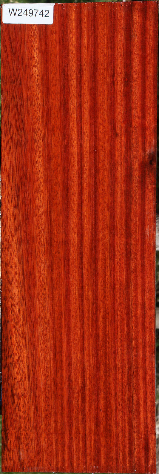 Figured Bloodwood Lumber