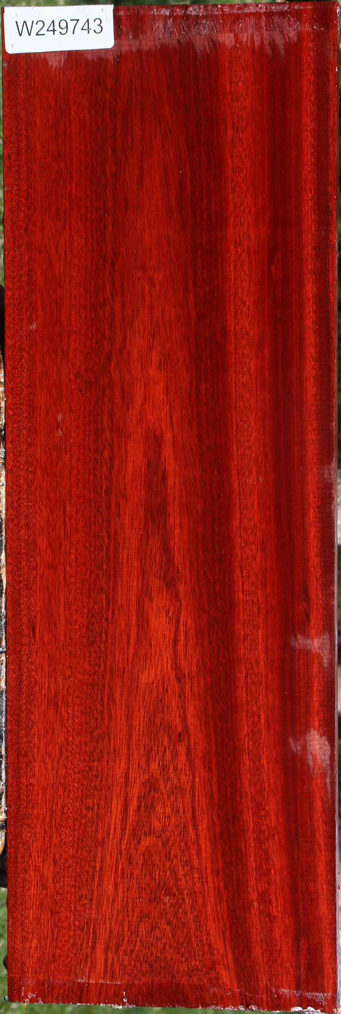 Bloodwood Lumber