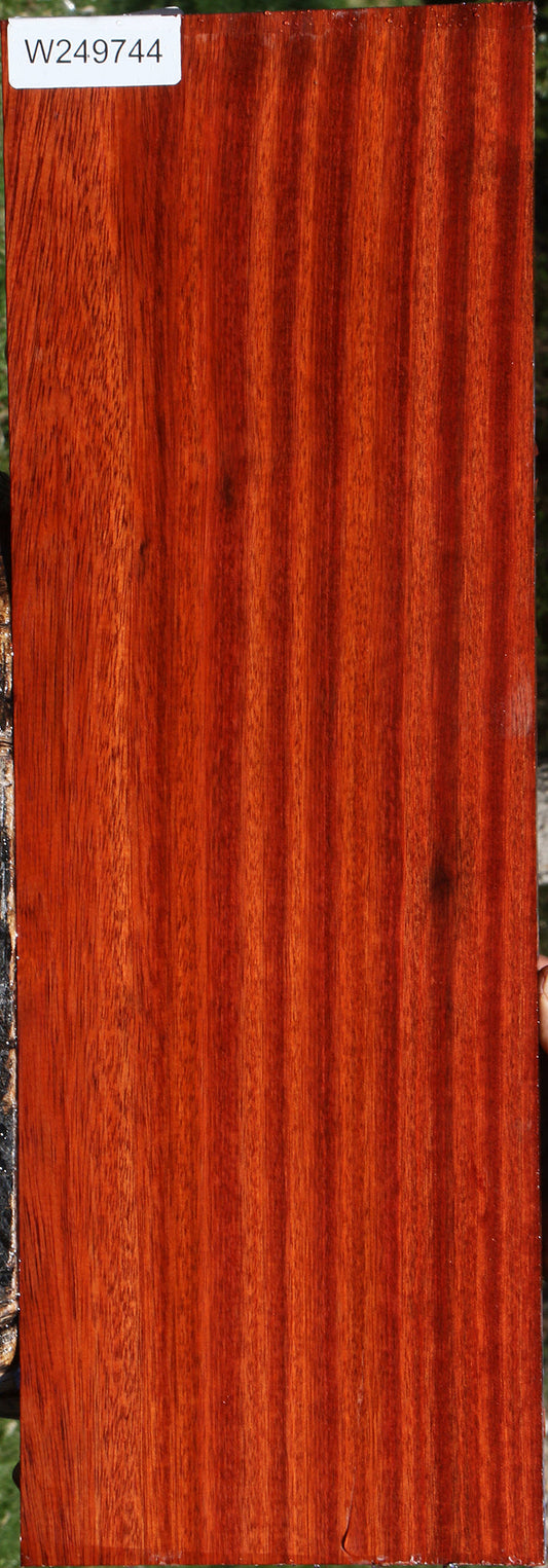 Figured Bloodwood Lumber