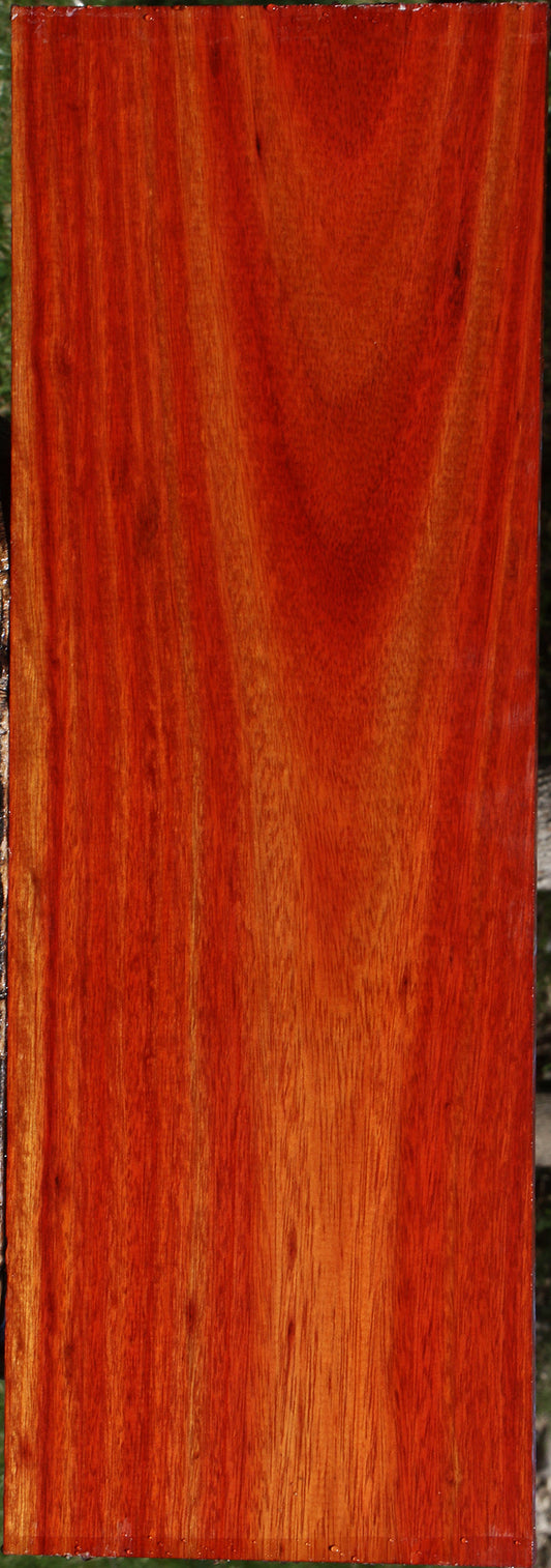 Bloodwood Lumber