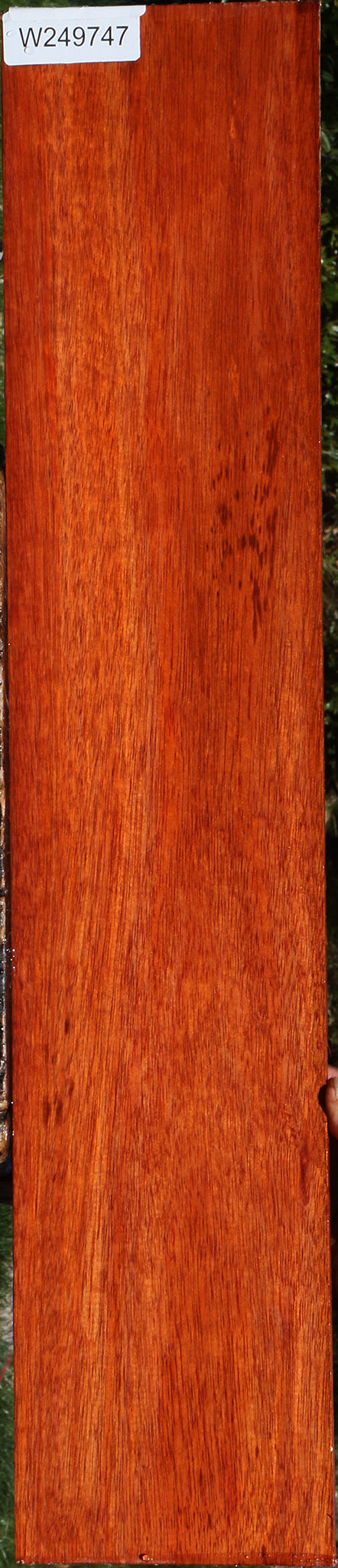 Figured Bloodwood Micro Lumber