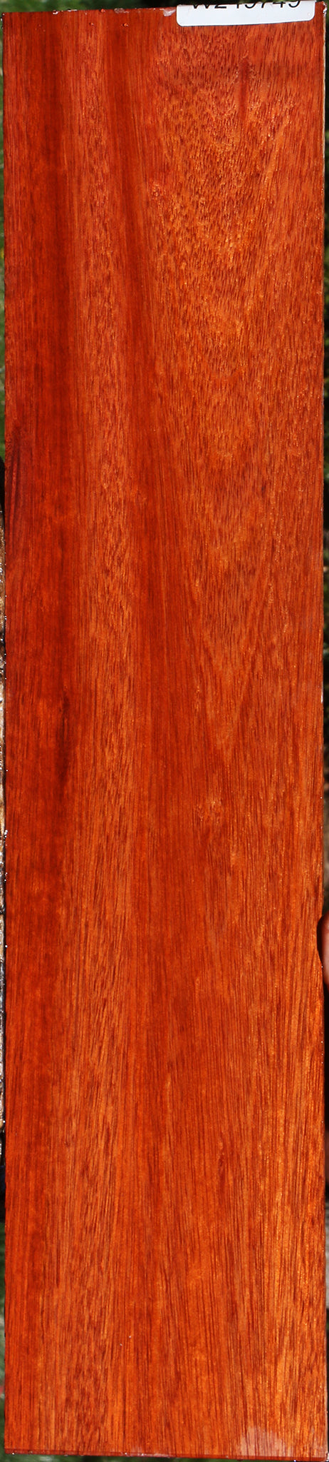 Bloodwood Micro Lumber
