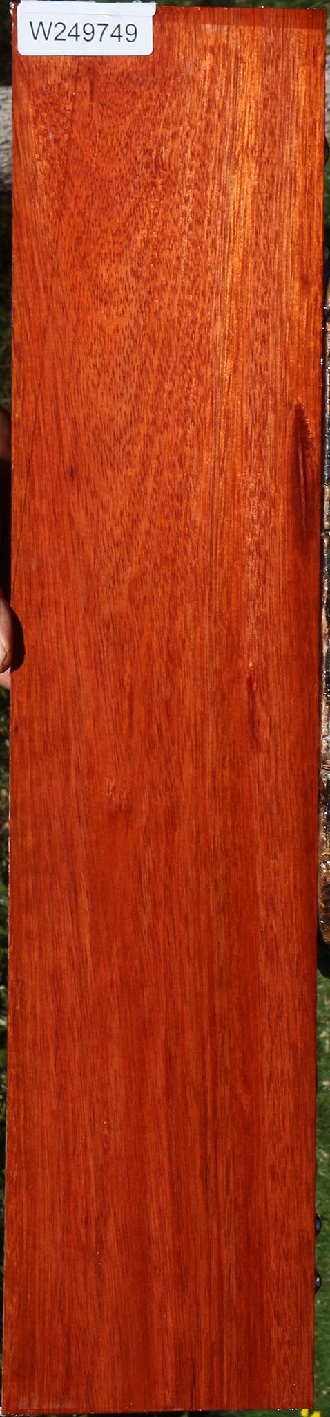 Bloodwood Micro Lumber