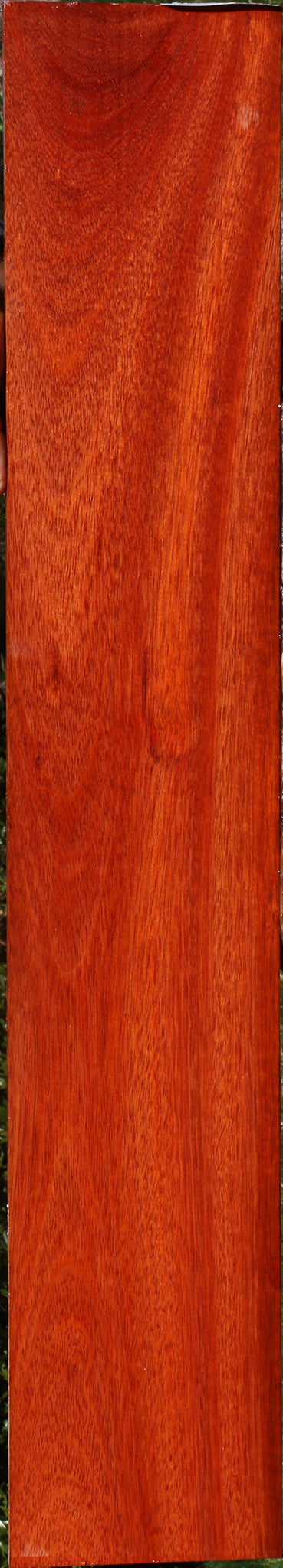 Bloodwood Micro Lumber
