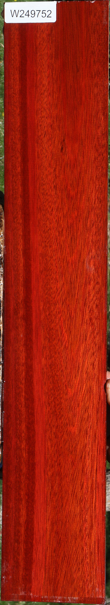 Bloodwood Micro Lumber