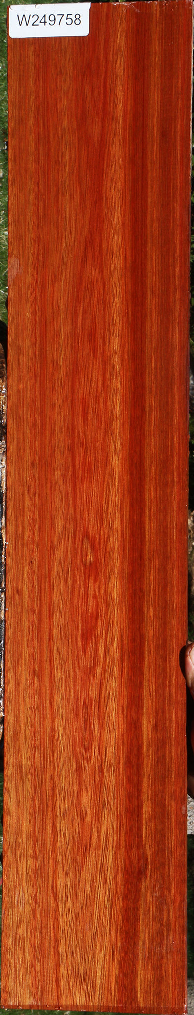 Bloodwood Micro Lumber