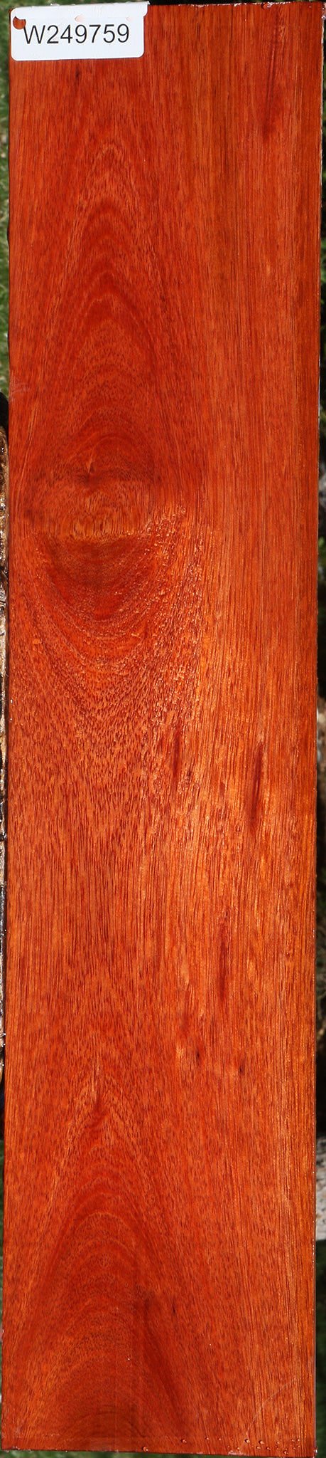 Bloodwood Micro Lumber