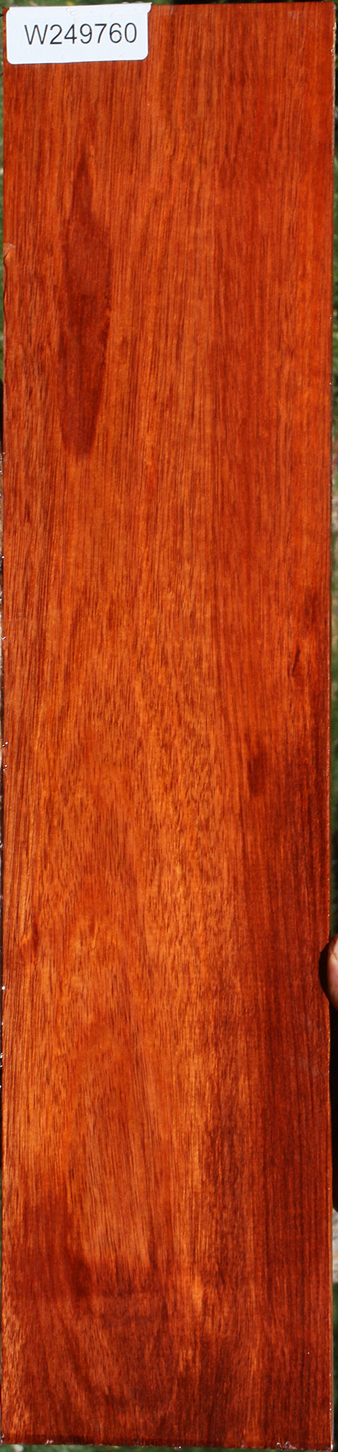Bloodwood Micro Lumber