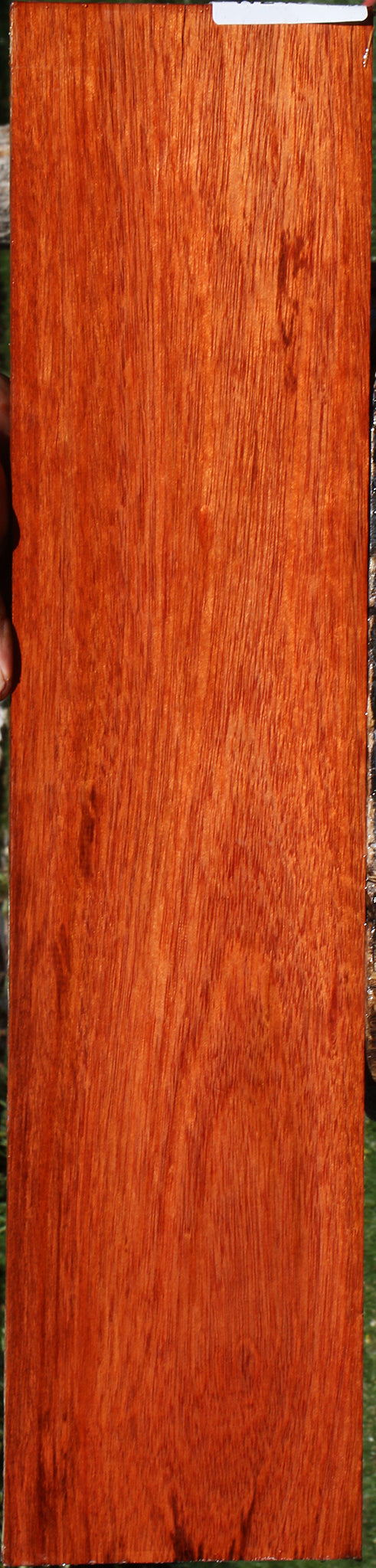 Bloodwood Micro Lumber