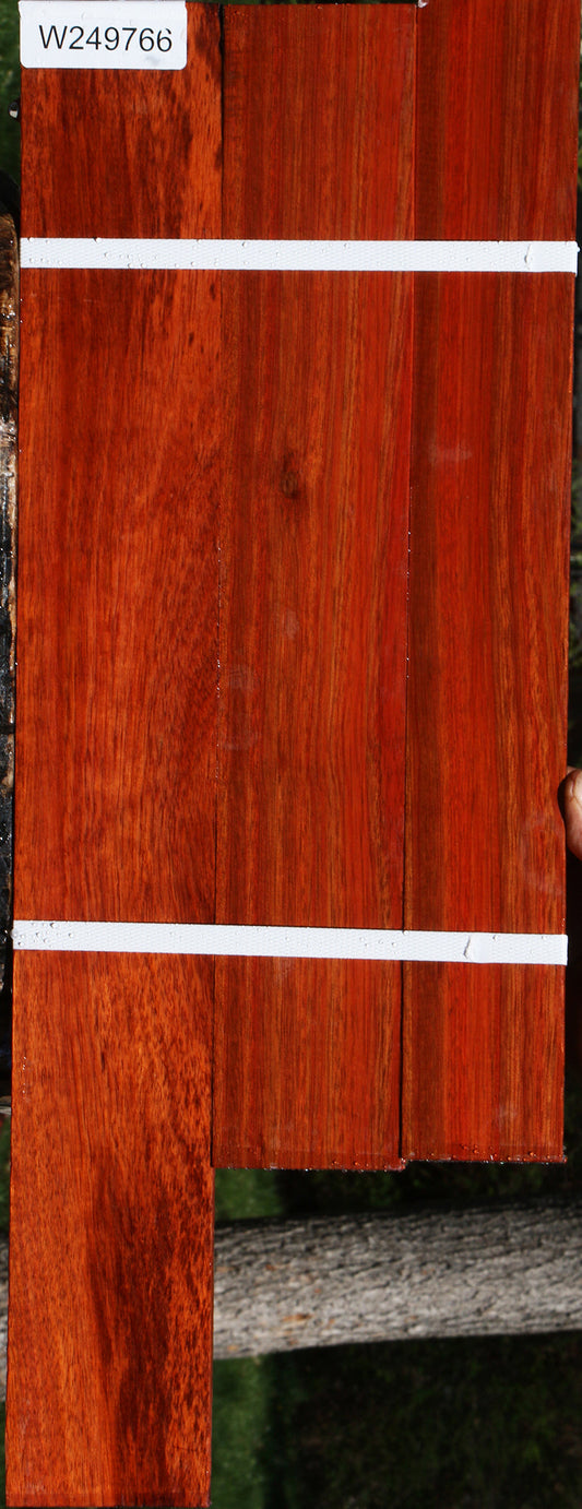 Bloodwood Micro Lumber 3 Pack