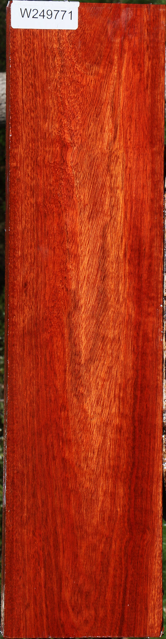 Figured Bloodwood Lumber