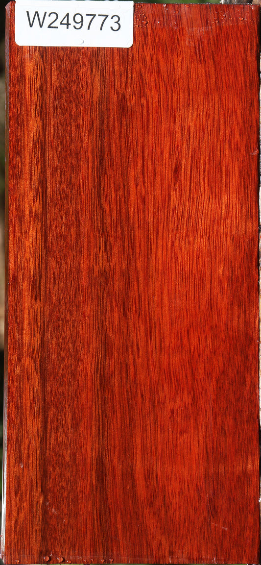 Bloodwood Lumber