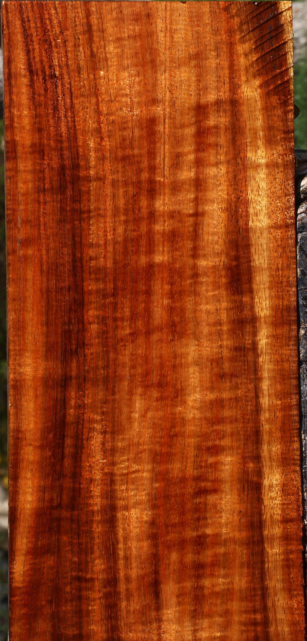 Exhibition Quartersawn Hawaiian Koa Instrument Lumber