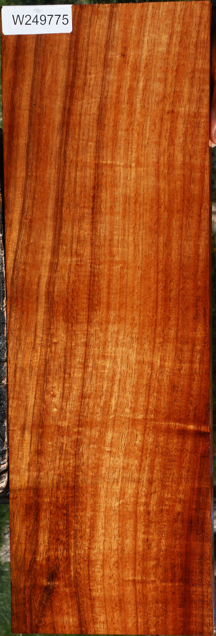 Extra Fancy Quartersawn Hawaiian Koa Instrument Lumber