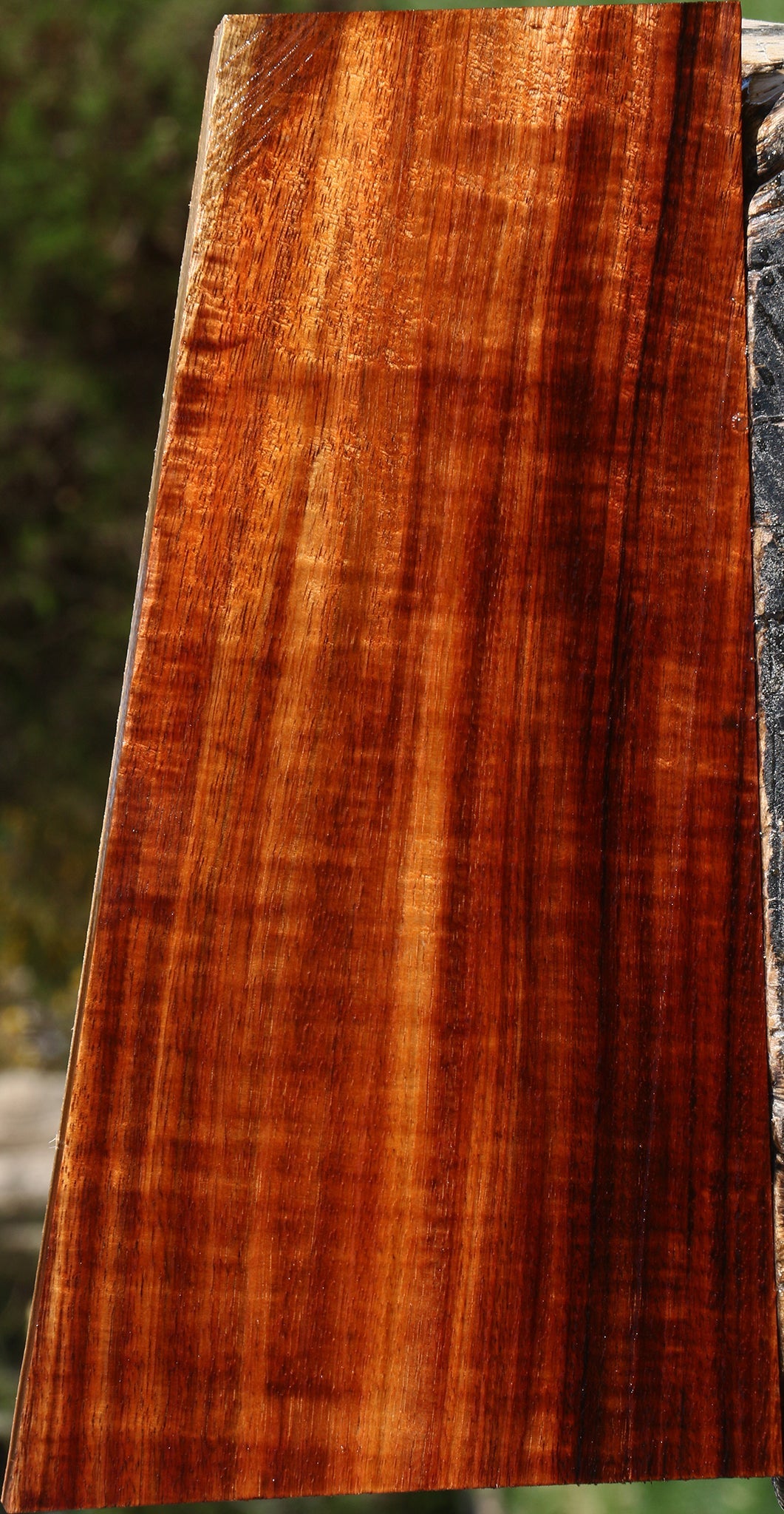 Extra Fancy Quartersawn Hawaiian Koa Instrument Lumber