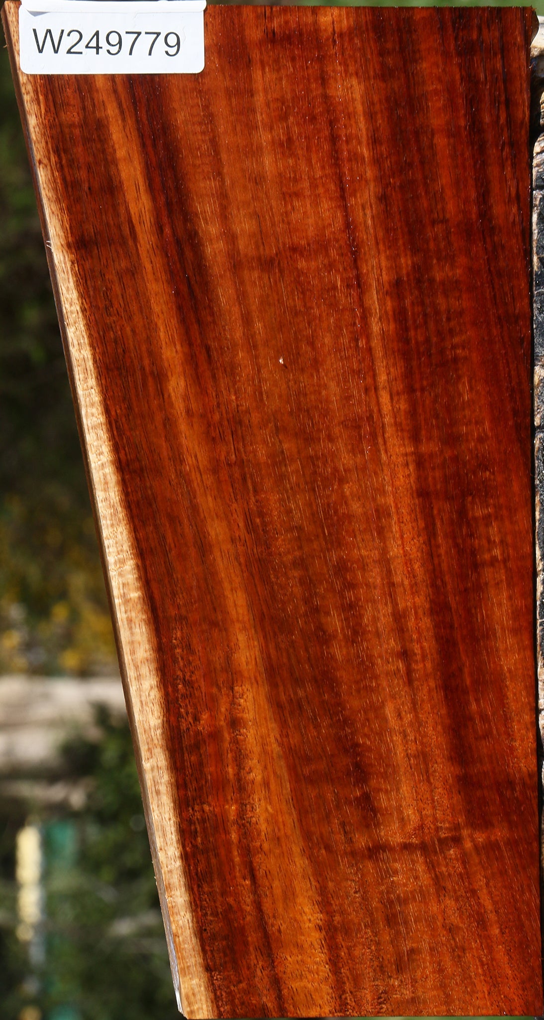 Extra Fancy Quartersawn Hawaiian Koa Instrument Lumber