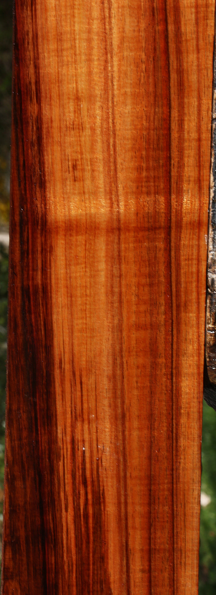 Extra Fancy Hawaiian Koa Instrument Lumber