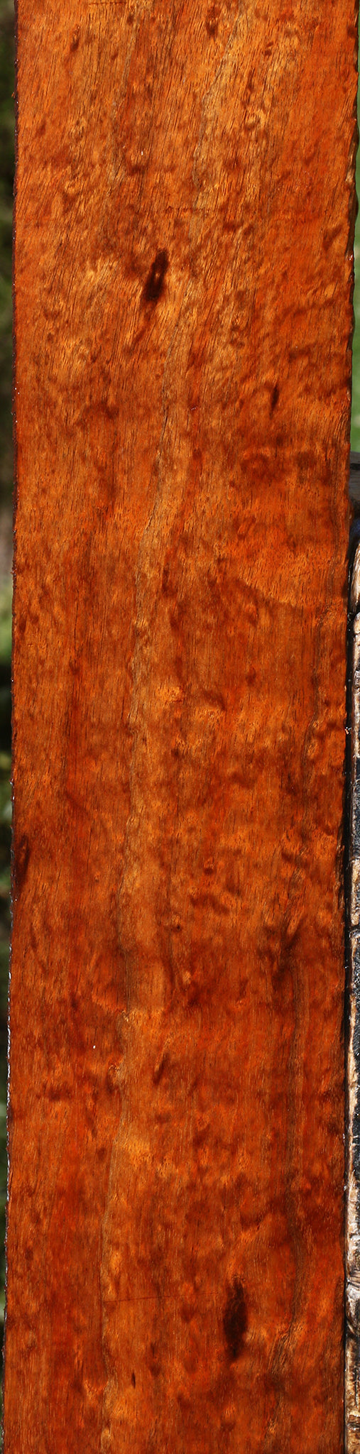 Exhibition Quartersawn Hawaiian Koa Lumber