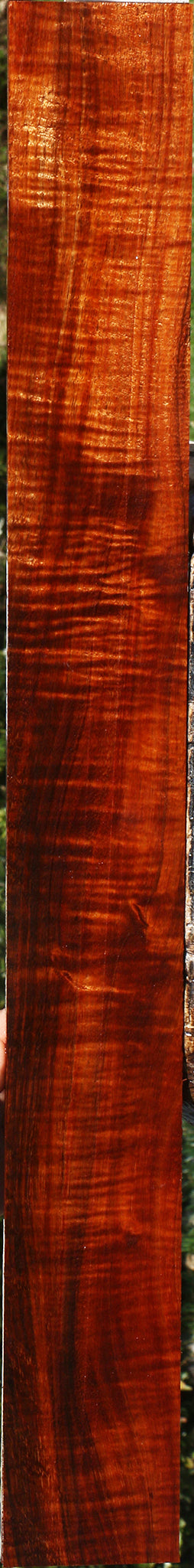 Exhibition Hawaiian Koa Micro Lumber