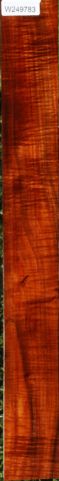 Exhibition Hawaiian Koa Micro Lumber
