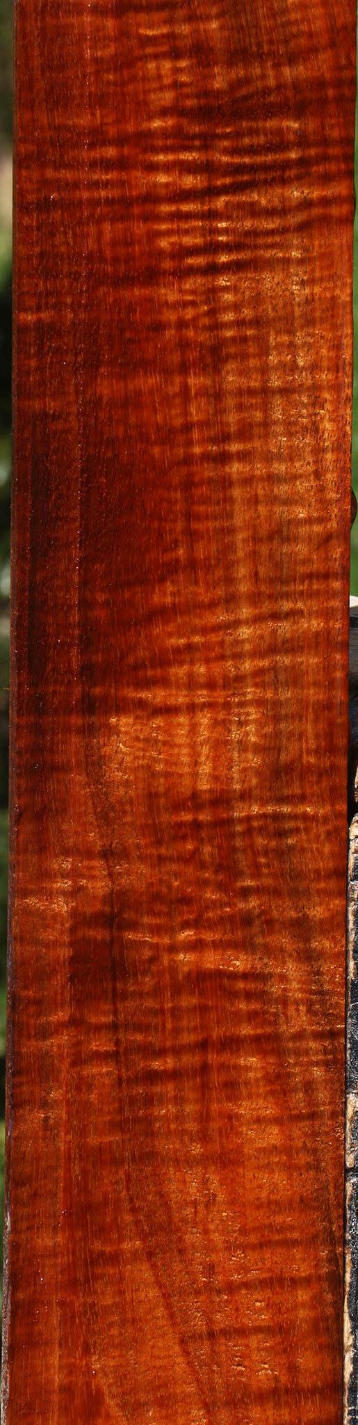 Exhibition Hawaiian Koa Micro Lumber