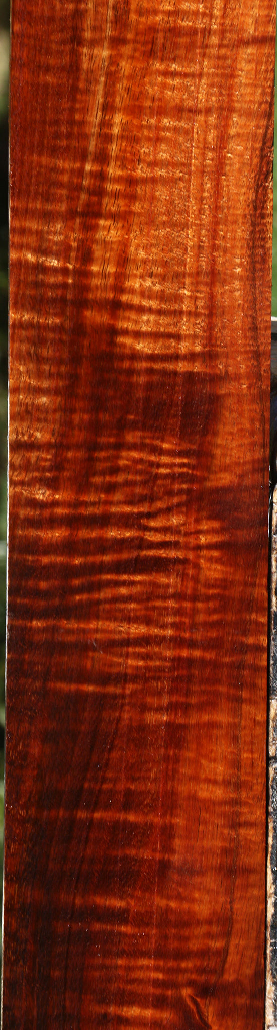 Exhibition Hawaiian Koa Micro Lumber
