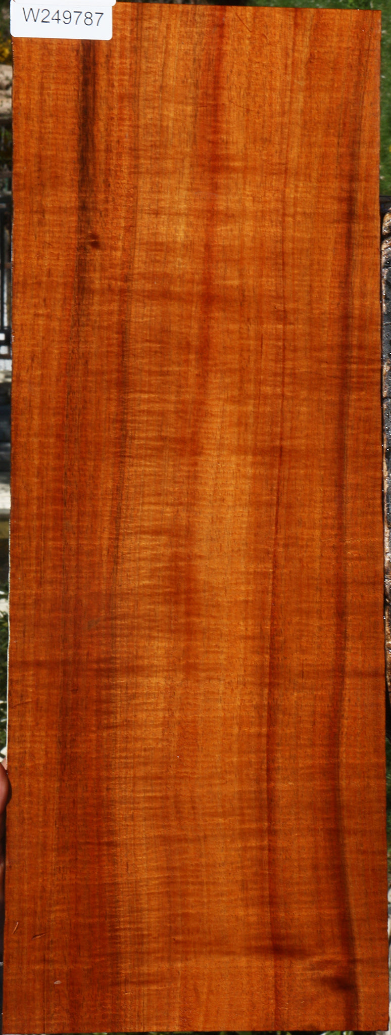 Exhibition Quartersawn Hawaiian Koa Instrument Lumber