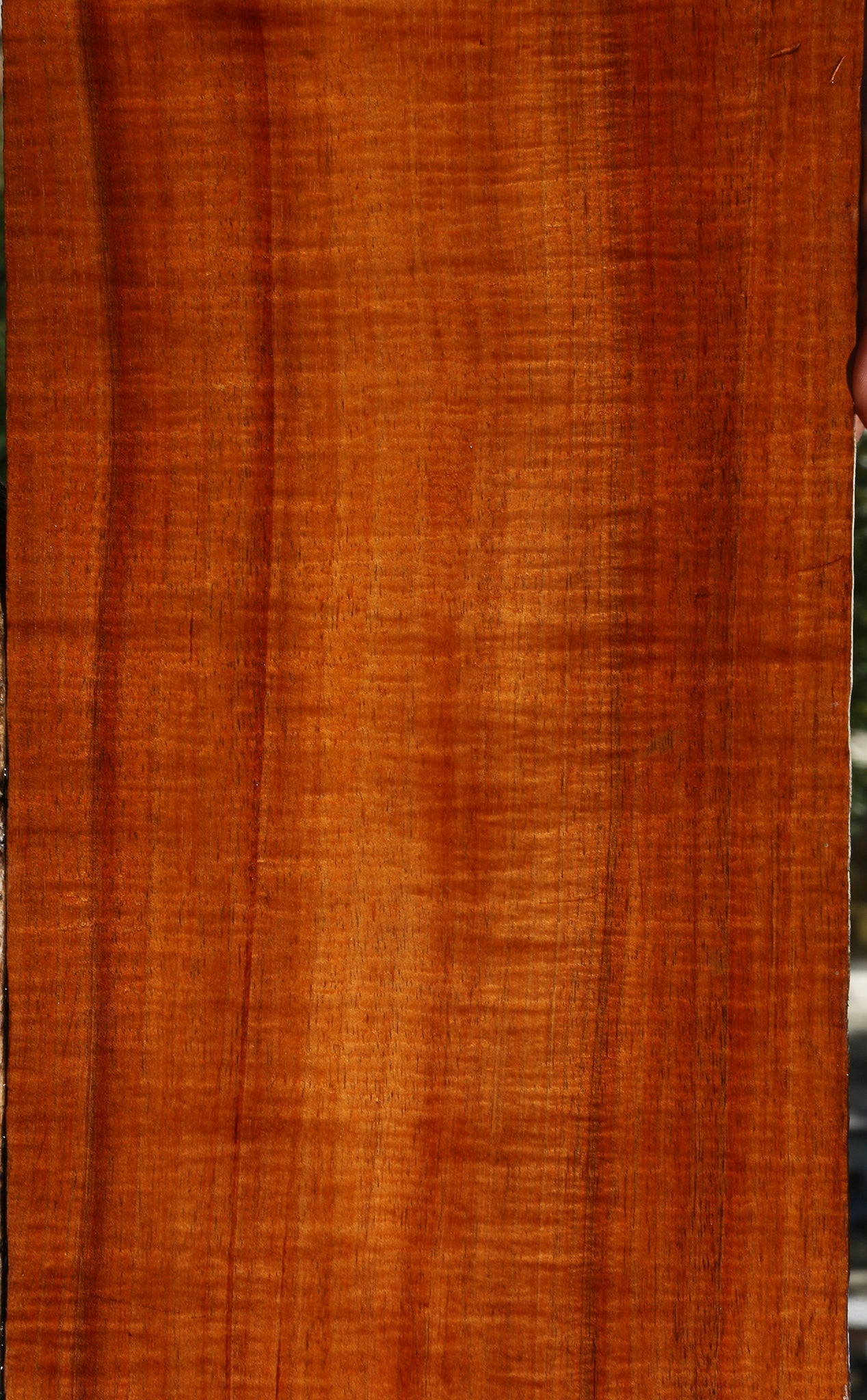 Exhibition Quartersawn Hawaiian Koa Instrument Lumber