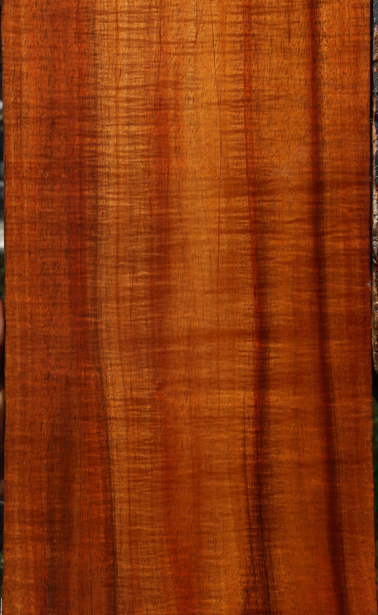 Exhibition Quartersawn Hawaiian Koa Instrument Lumber
