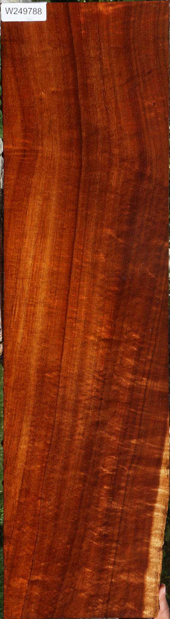 Exhibition Hawaiian Koa Lumber