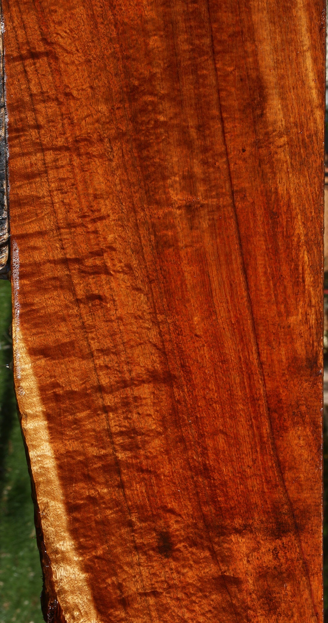 Exhibition Hawaiian Koa Lumber